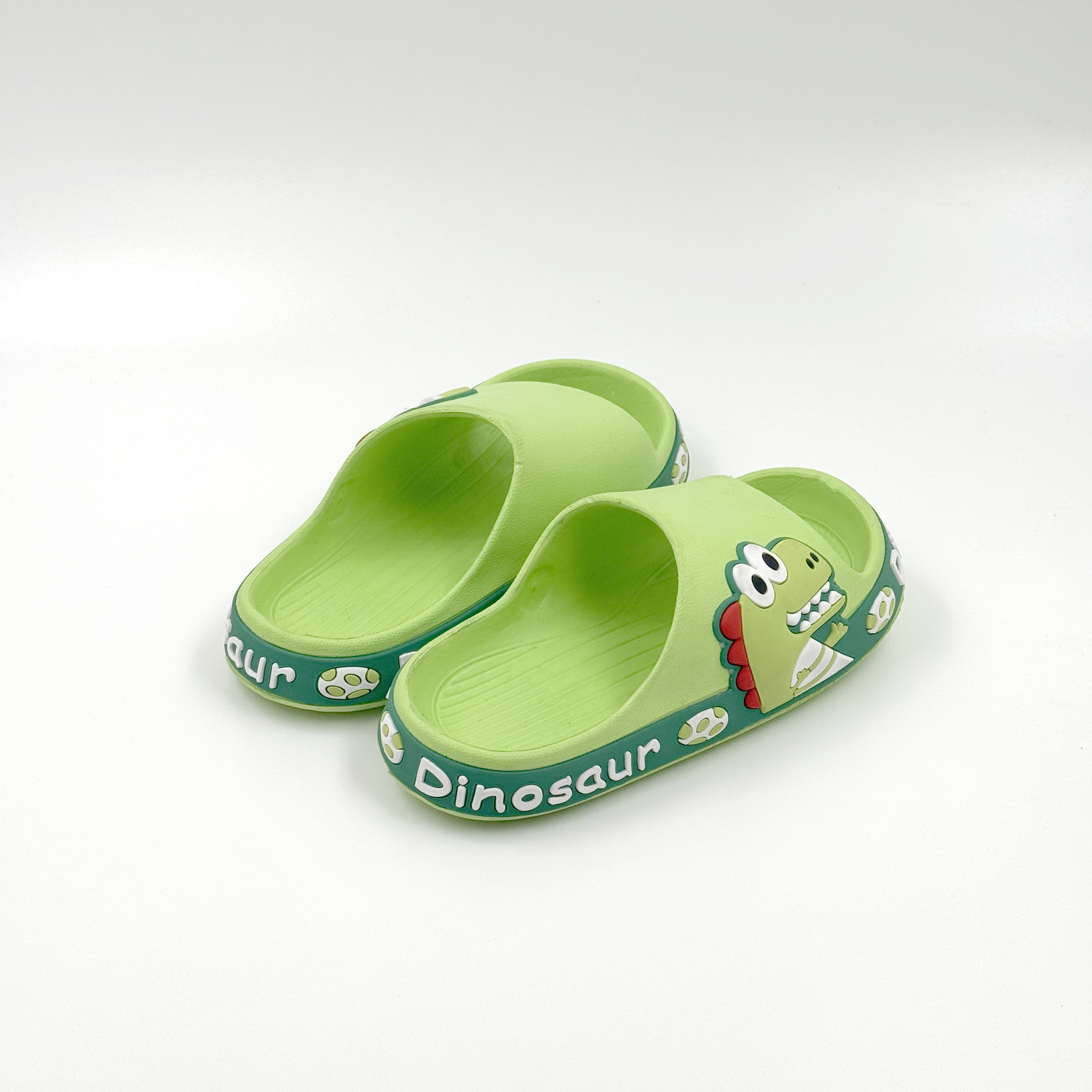 Boys Dinosaurcartoon no slipslippers